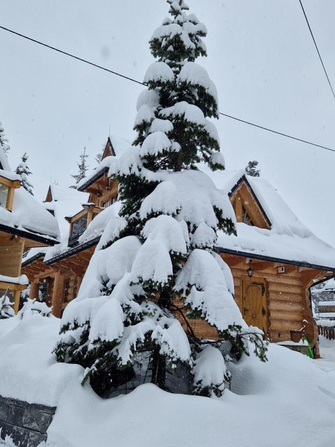 Przytulny Domek I Zakopane Exteriör bild